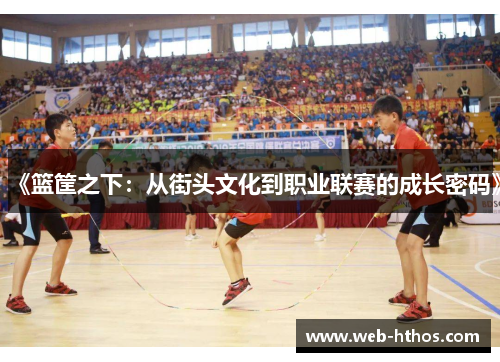 《篮筐之下：从街头文化到职业联赛的成长密码》